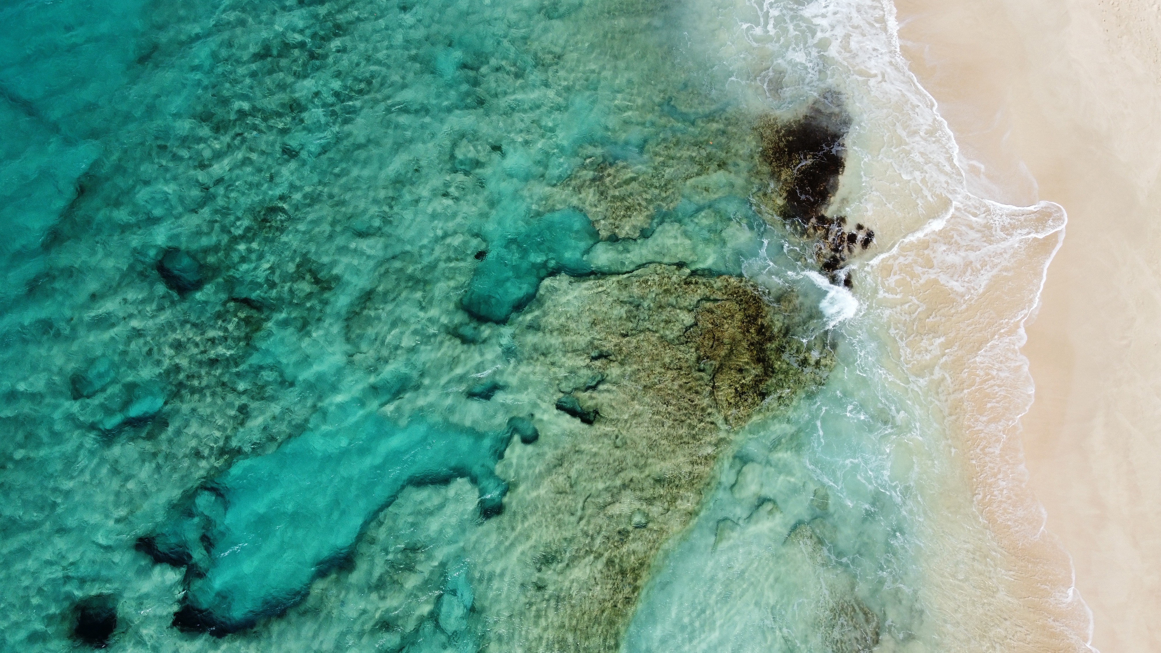 Photo drone en action